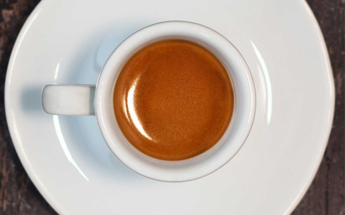 tazzina degustazione caffè
